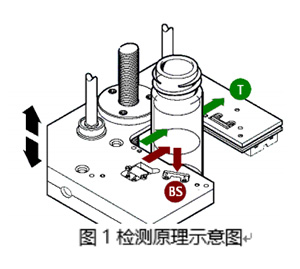 膏体体系TURBISCAN数据分析报告